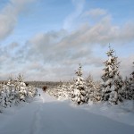 promenage_gite_stavelot_5